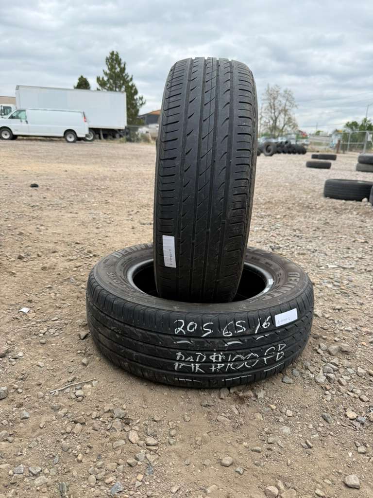 205/65R16 Pair (2 Used Tires) Delinte DH2