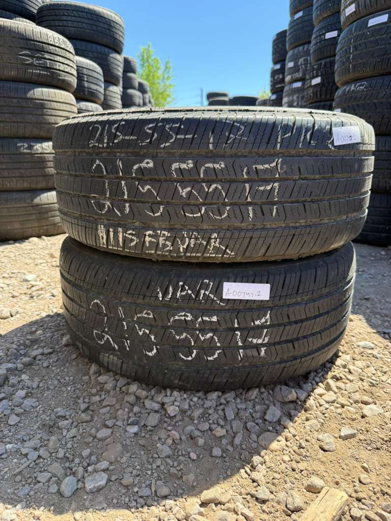 215/55R17 Pair (2 Used Tires) Arizonian Silver Edition