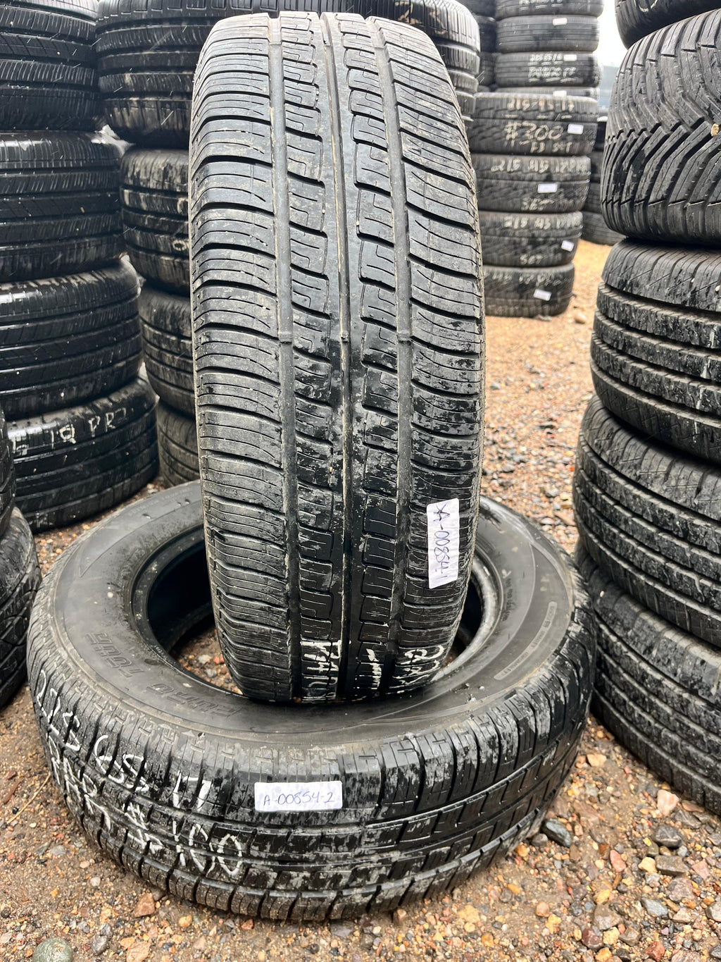 225/65R17 Pair (2 Used Tires) BIG O Euro Tour