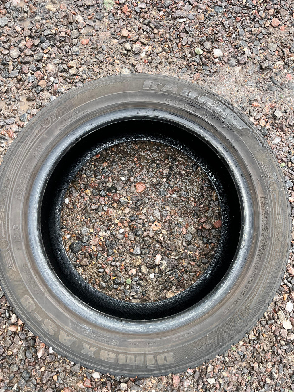 215/55R17 Set (4 Used Tires) Radar Dimas AS-8