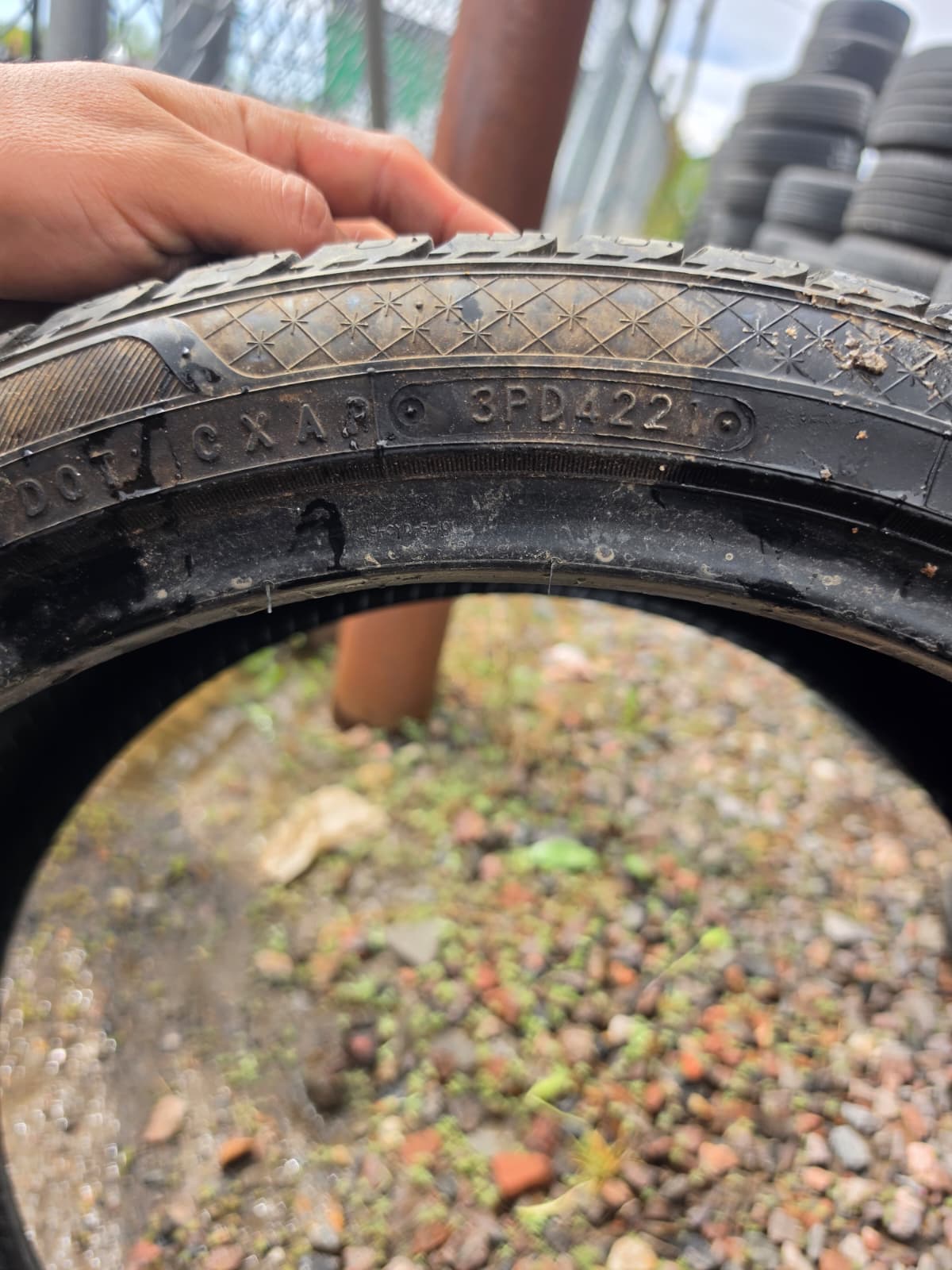 255/35R19 Single (1 Used Tire) Toyo Celsuis