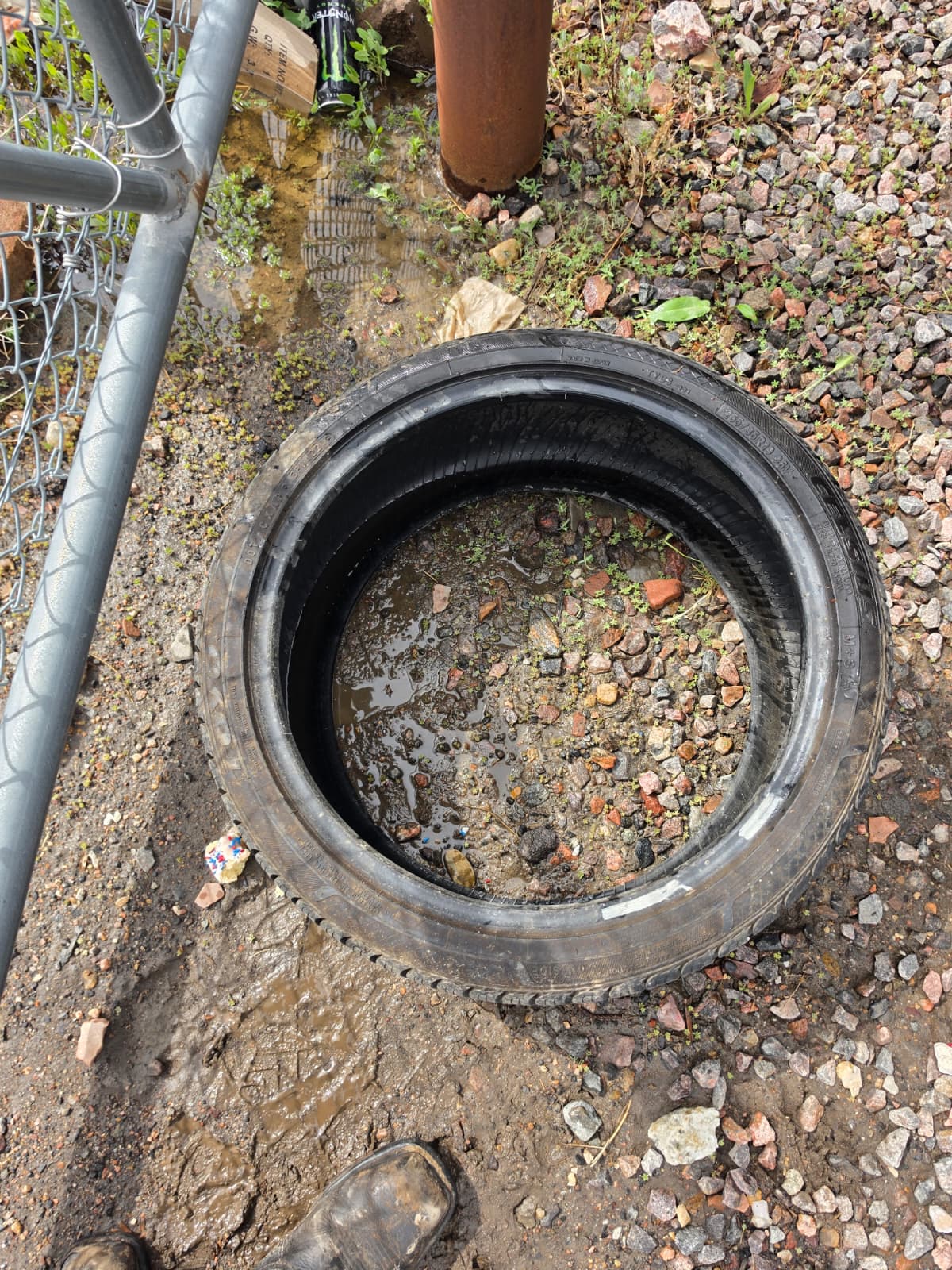 255/35R19 Single (1 Used Tire) Toyo Celsuis