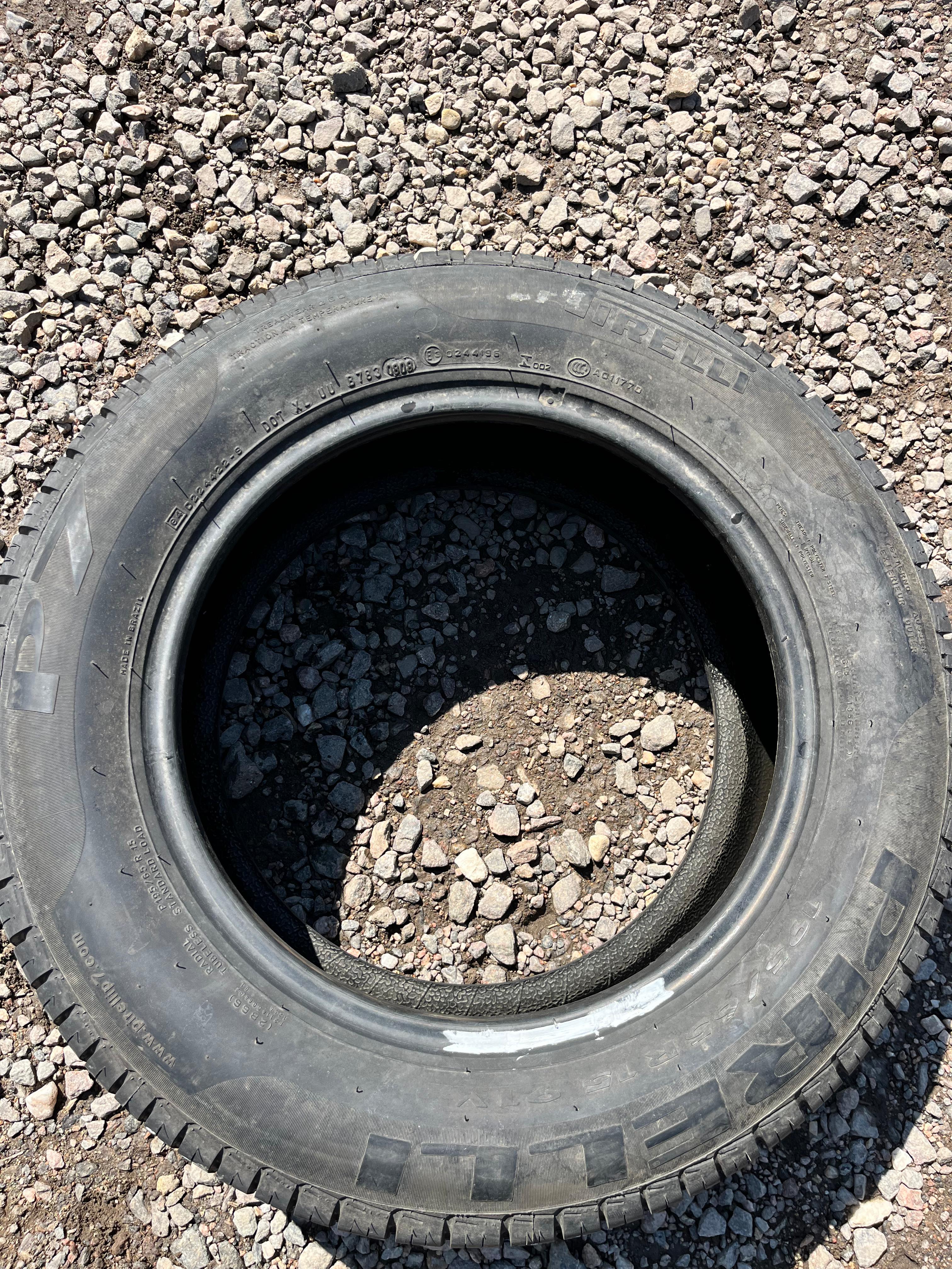 195/65R15 Single (1 Used Tire) Pirelli P7