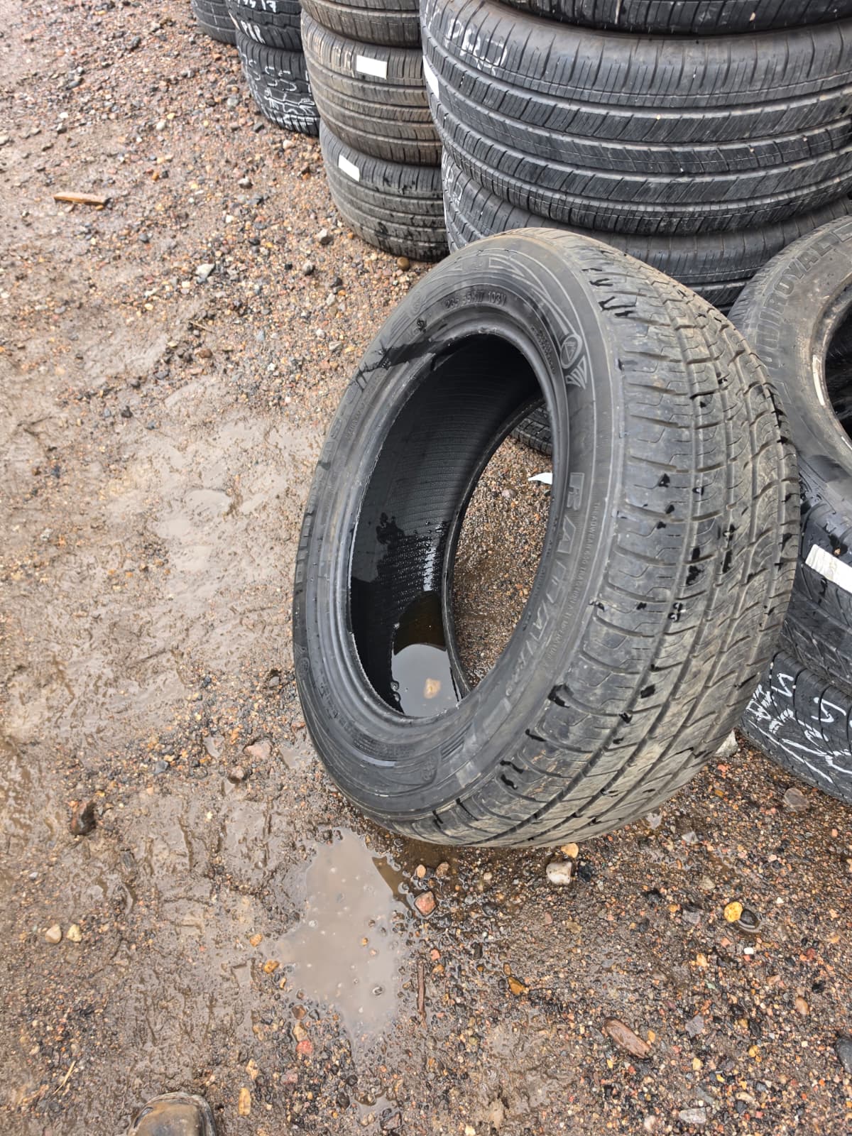 235/55R17 Set (4 Used Tires) Radar DiMax AS-9